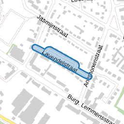 Lavendelstraat