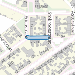Orchideestraat