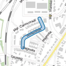 Winterlinde