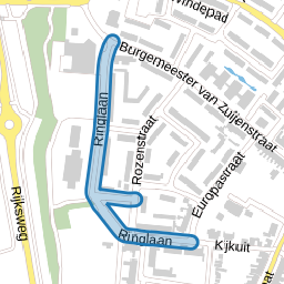 Ringlaan