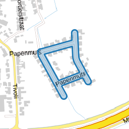 Papenmuts