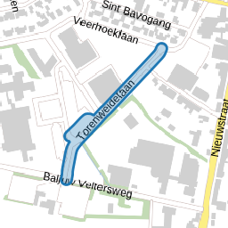 Torenweidelaan