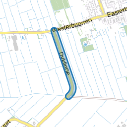 Dykfinne