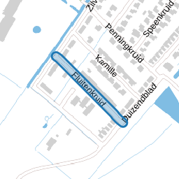 Fluitenkruid