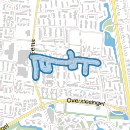 Tjonger