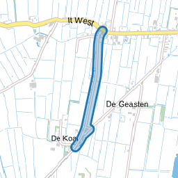 Dykfinne