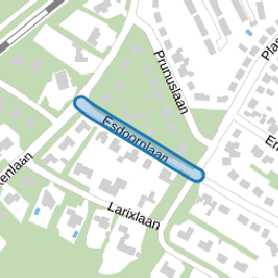 Esdoornlaan