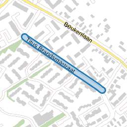 Titus Brandsmastraat