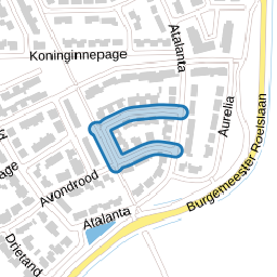 Koolwitje