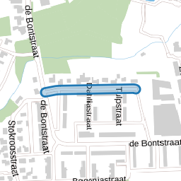 Crocusstraat