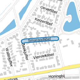 Smaragdlibel