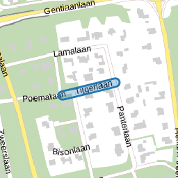 Tijgerlaan