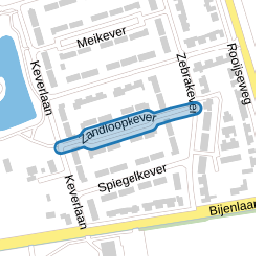Zandloopkever