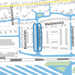 Dotterbloem