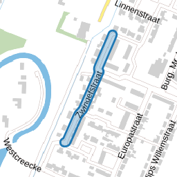 Zwingelstraat