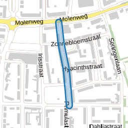 Goudenregenstraat