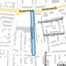 Irisstraat