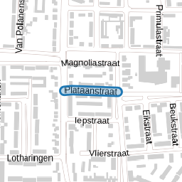 Plataanstraat