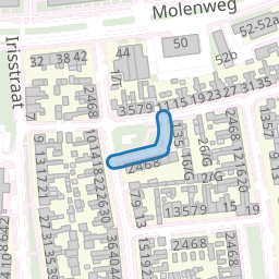 Rozenplein