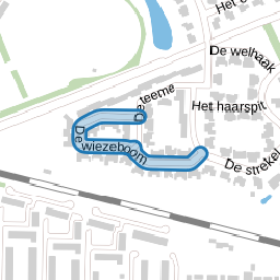 De wiezeboom