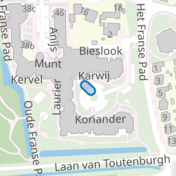 Koriander