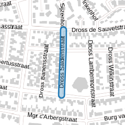Dross Saldenstraat