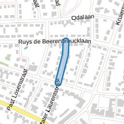 Doctor Poelsstraat