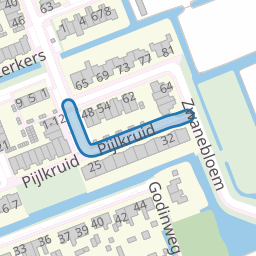 Pijlkruid