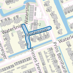 Watersnip