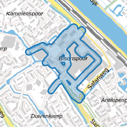 Bisonspoor