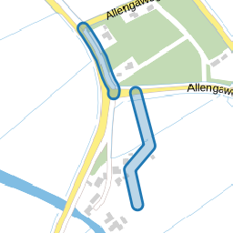 Grauwe Kat