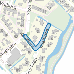 Koaifinne