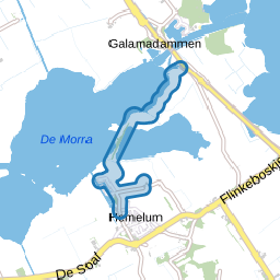 Morrapaed