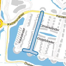 Dagpauwoog