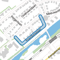 Roerdomplaan