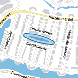 Zilveren maan