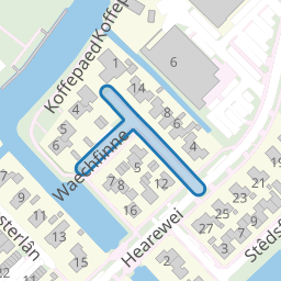 Waechfinne