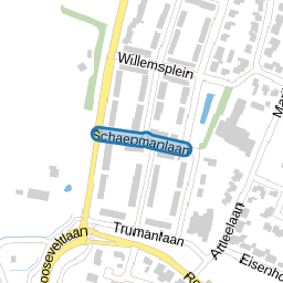 Schaepmanlaan