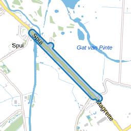 Spui
