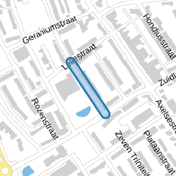 Chrysantstraat