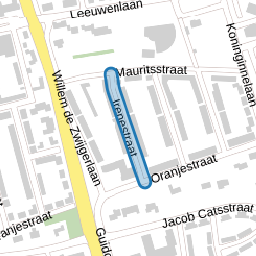 Irenestraat