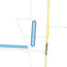 Zwaan