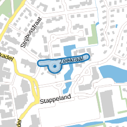 Zeekraal