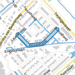 Rozenhaag