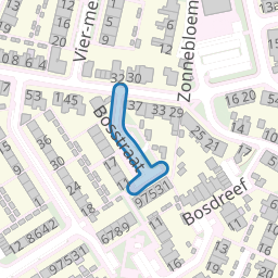 Bosstraat