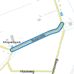 Boomdijk