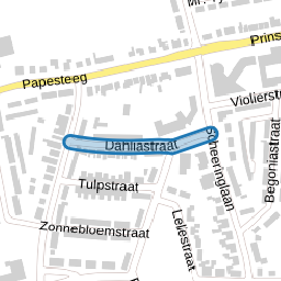 Dahliastraat