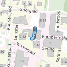 Jasmijn