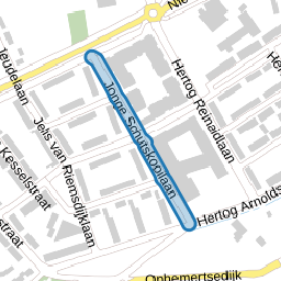 Jonge Schutskooilaan