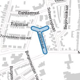 Leliestraat